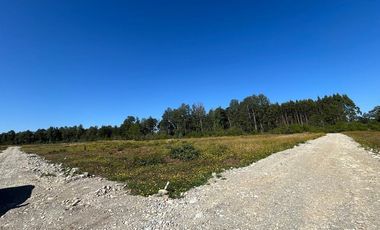 Vendo Parcela Aguas Negras, Paillaco.