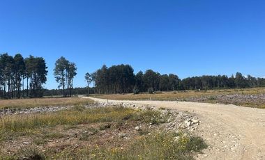 Vendo Parcela Aguas Negras, Paillaco.