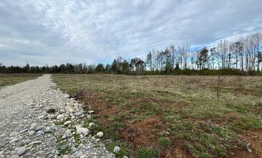 Vendo Parcela Aguas Negras, Paillaco.