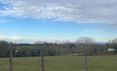 Vendo Parcela Aguas Negras, Paillaco.