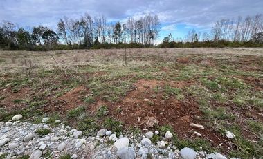 Vendo Parcela Aguas Negras, Paillaco.