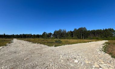 Vendo Parcela Aguas Negras, Paillaco.