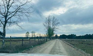 Vendo Parcela Aguas Negras, Paillaco.