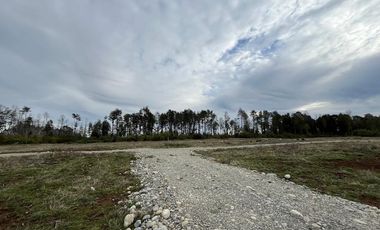 Vendo Parcela Aguas Negras, Paillaco.