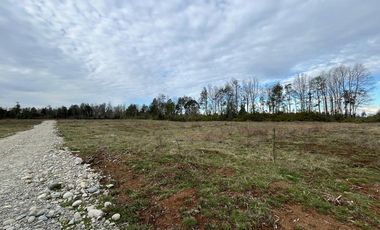 Vendo Parcela Aguas Negras, Paillaco.