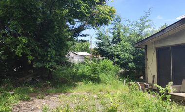 QUILACO URBANO