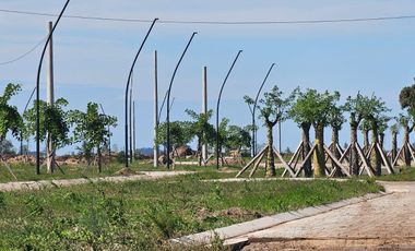 Terreno en Villa Amelia
