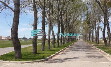 Lote de 1179 m2 en Barrio La Alameda con fondo a la laguna etapa 2, listo para construir