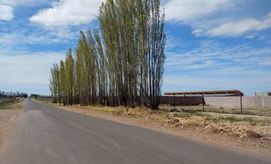 Terreno en venta - 2.000Mts2 - San Rafael, Mendoza