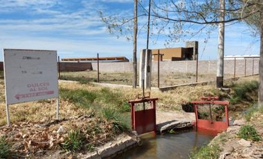 Terreno en venta - 2.000Mts2 - San Rafael, Mendoza