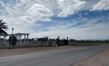 Terreno en venta - 2.000Mts2 - San Rafael, Mendoza