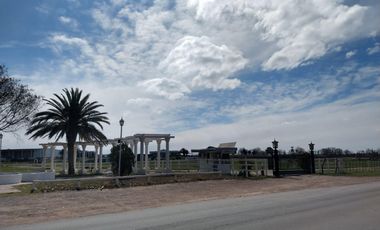 Terreno en venta - 2.000Mts2 - San Rafael, Mendoza