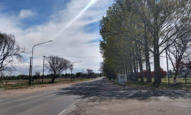 Terreno en venta - 2.000Mts2 - San Rafael, Mendoza