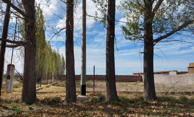 Terreno en venta - 2.000Mts2 - San Rafael, Mendoza