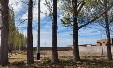 Terreno en venta - 2.000Mts2 - San Rafael, Mendoza