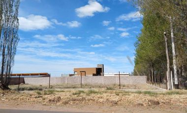 Terreno en venta - 2.000Mts2 - San Rafael, Mendoza