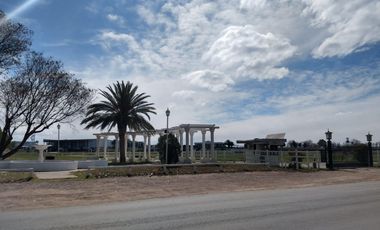 Terreno en venta - 2.000Mts2 - San Rafael, Mendoza