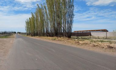 Terreno en venta - 2.000Mts2 - San Rafael, Mendoza