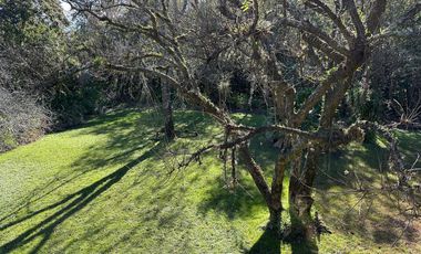 Casa en  venta Delta Tigre