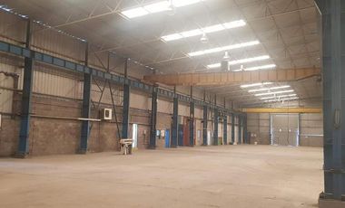 Nave Industrial con puentes grúa - Plátanos