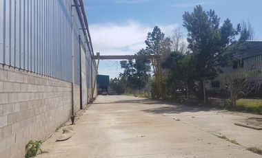 Nave Industrial con puentes grúa - Plátanos
