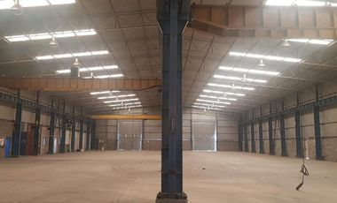 Nave Industrial con puentes grúa - Plátanos