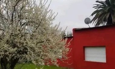 Chacra en venta - 7 Dormitorios 3 Baños - Cochera - 80.000Mts2 - Magdalena