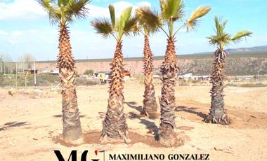 Lote en venta Cacheuta, Mendoza