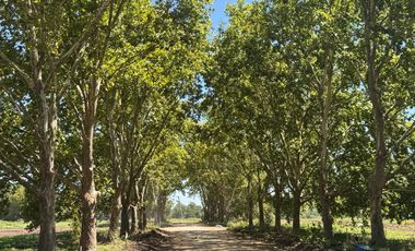 Venta de Lote en Estancia Carabassa | VCO Propiedades