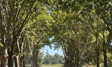 Venta de Lote en Estancia Carabassa | VCO Propiedades