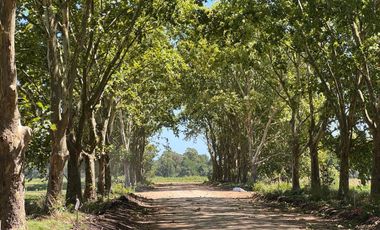 Venta de Lote en Estancia Carabassa | VCO Propiedades