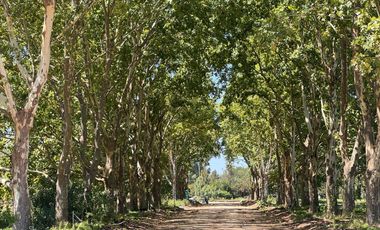 Venta de Lote en Estancia Carabassa | VCO Propiedades