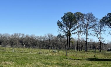 Venta de Lote en Estancia Carabassa | VCO Propiedades