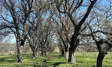 Venta de Lote en Estancia Carabassa | VCO Propiedades