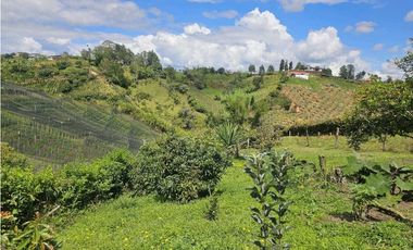 VENTA CASA FINCA MARINILLA