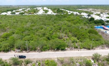 Terreno en venta Mérida Yucatán, Cholul
