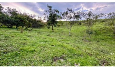 Lote en venta en condominio campestre Lagos de Maracaibo Palmira Valle