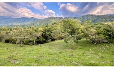 Lote en venta en condominio campestre Lagos de Maracaibo Palmira Valle