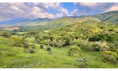 Lote en venta en condominio campestre Lagos de Maracaibo Palmira Valle