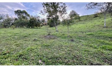 Lote en venta en condominio campestre Lagos de Maracaibo Palmira Valle