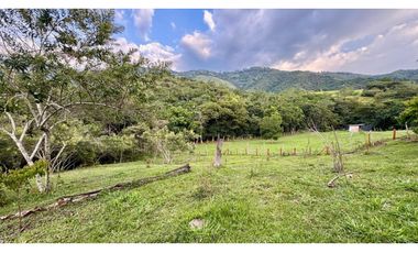 Lote en venta en condominio campestre Lagos de Maracaibo Palmira Valle