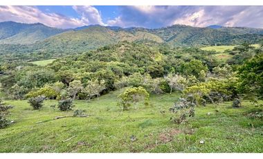 Lote en venta en condominio campestre Lagos de Maracaibo Palmira Valle