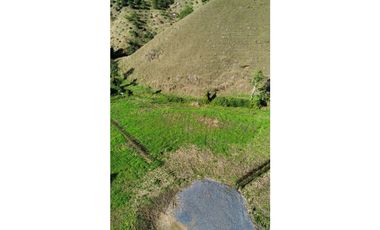 LOTES CAMPESTRES EN LA CEJAdesde   $360 MILLONES VEREDA FTIMA 9 km