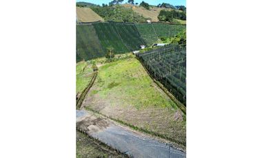 LOTES CAMPESTRES EN LA CEJAdesde   $360 MILLONES VEREDA FTIMA 9 km