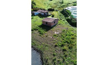 LOTES CAMPESTRES EN LA CEJAdesde   $360 MILLONES VEREDA FTIMA 9 km