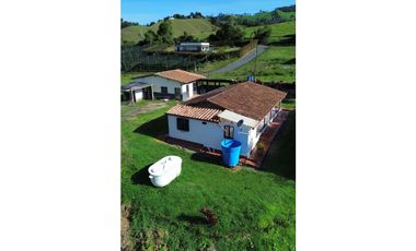 SE VENDE FINCA EN LA CEJA $520 millones vereda FTIMA 9km casco urbano