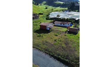 SE VENDE FINCA EN LA CEJA $520 millones vereda FTIMA 9km casco urbano