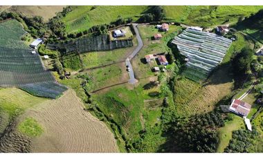 SE VENDE FINCA EN LA CEJA $520 millones vereda FTIMA 9km casco urbano