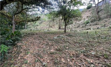 Lote en venta, V. El Berrial, San Jerónimo