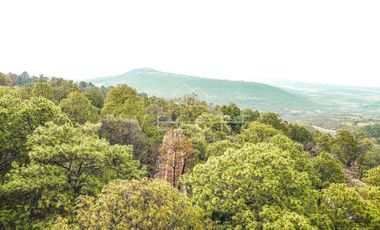 CABAÑA EN VENTA EN SIERRA ENCANTADA, MAZAMITLA
